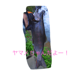 [LINEスタンプ] 山女魚ちゃーん