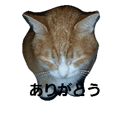[LINEスタンプ] にゃ～助