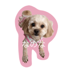 [LINEスタンプ] dog_memeko