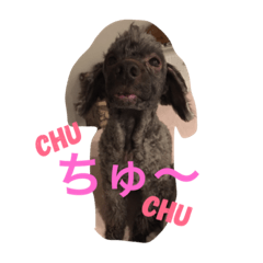 [LINEスタンプ] kiara814