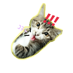 [LINEスタンプ] ひめちゃん①