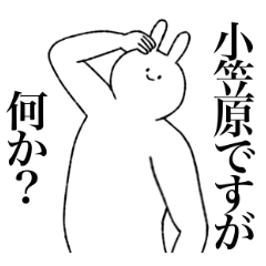 [LINEスタンプ] 小笠原さん専用！便利な名前スタンプ