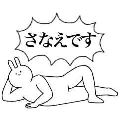 [LINEスタンプ] さなえ専用！便利な名前スタンプ