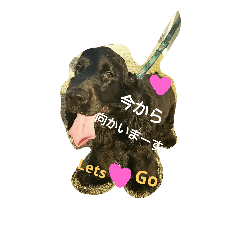 [LINEスタンプ] rionchan deys