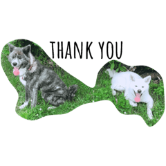 [LINEスタンプ] akitainu_komachi＆kirara