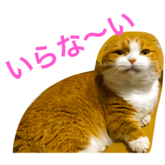 [LINEスタンプ] とらたさん その3