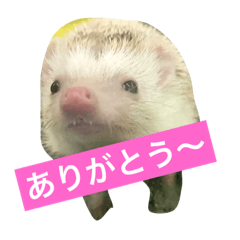 [LINEスタンプ] ふぁんふぁんアニマル