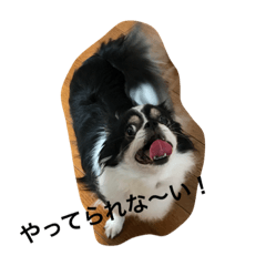 [LINEスタンプ] ちょび鉄3