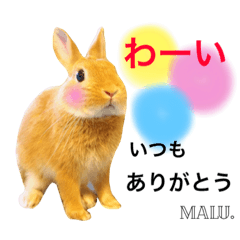 [LINEスタンプ] Rabbit MALU3