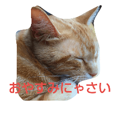 [LINEスタンプ] ゆずと仲間たち