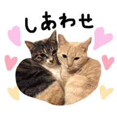 [LINEスタンプ] 猫の姉妹 ムギチョコ姉妹 Part4