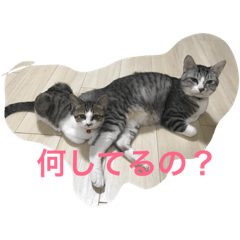 [LINEスタンプ] family Matsuda