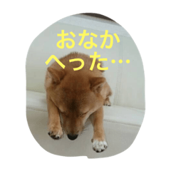 [LINEスタンプ] ももの普段