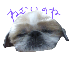 [LINEスタンプ] だらだらふぅ