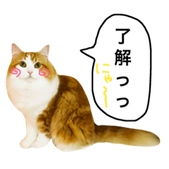 [LINEスタンプ] 愛しのマーリー3