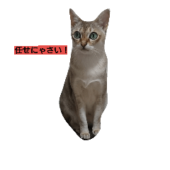 [LINEスタンプ] はる パート2