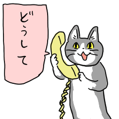[LINEスタンプ] 電話猫の画像（メイン）