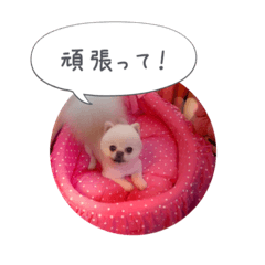 [LINEスタンプ] mocochan2