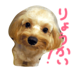 [LINEスタンプ] もか スタンプデビュー編