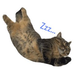 [LINEスタンプ] ネイ丸のスタンプ