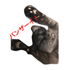 [LINEスタンプ] すみんごと仲間たち