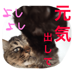 [LINEスタンプ] 小梅さん2
