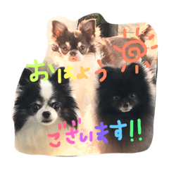 [LINEスタンプ] wanko hlu