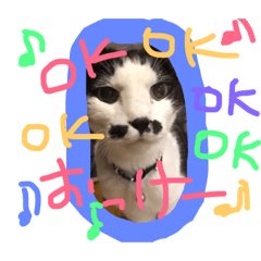 [LINEスタンプ] ちょびネコちゃん