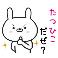 [LINEスタンプ] 【たつひこ】が使ううさぎ