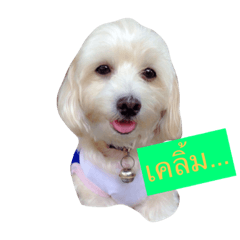 [LINEスタンプ] DogZaNook