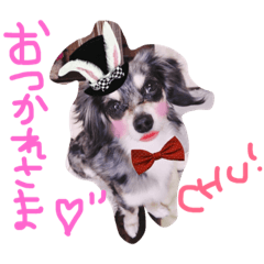 [LINEスタンプ] チワックス(チロル)