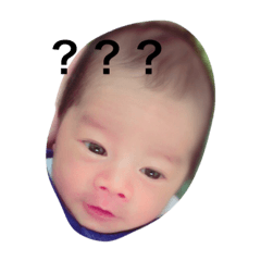 [LINEスタンプ] こたとらこう①
