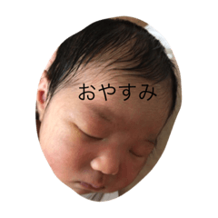 [LINEスタンプ] 陽人の日常