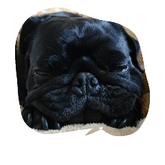 [LINEスタンプ] pug Qoo2