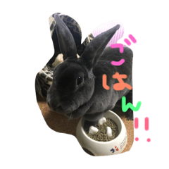 [LINEスタンプ] Lune 1