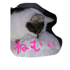 [LINEスタンプ] メイ子とたまにハゲ