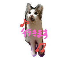 [LINEスタンプ] ミントと一緒
