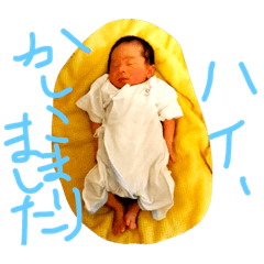 [LINEスタンプ] りっくんの気分