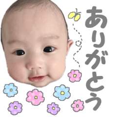 [LINEスタンプ] 島さん家の大耀