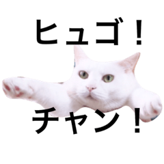 [LINEスタンプ] ヒュゴの日常