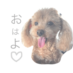 [LINEスタンプ] ろんくん 2