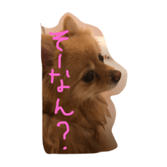 [LINEスタンプ] フヌーピー3