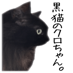 [LINEスタンプ] 黒猫のクロちゃん 2
