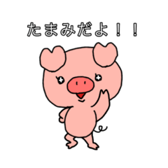 [LINEスタンプ] たまみのスタンプ