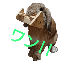[LINEスタンプ] ワンコになりたいうさぎ 1