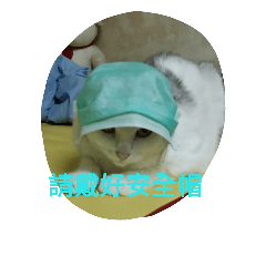 [LINEスタンプ] cat fo momo2
