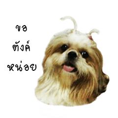 [LINEスタンプ] Khunnay Ju