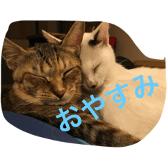 [LINEスタンプ] あいさつ文