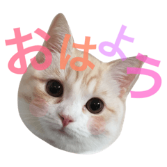 [LINEスタンプ] リルスタンプ その1