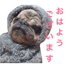 [LINEスタンプ] CHACHA！！！！！！